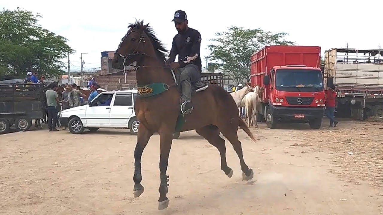 FEIRA DE CAVALOS EM CACHOEIRINHA-PE  23-10-2025 #nordeste