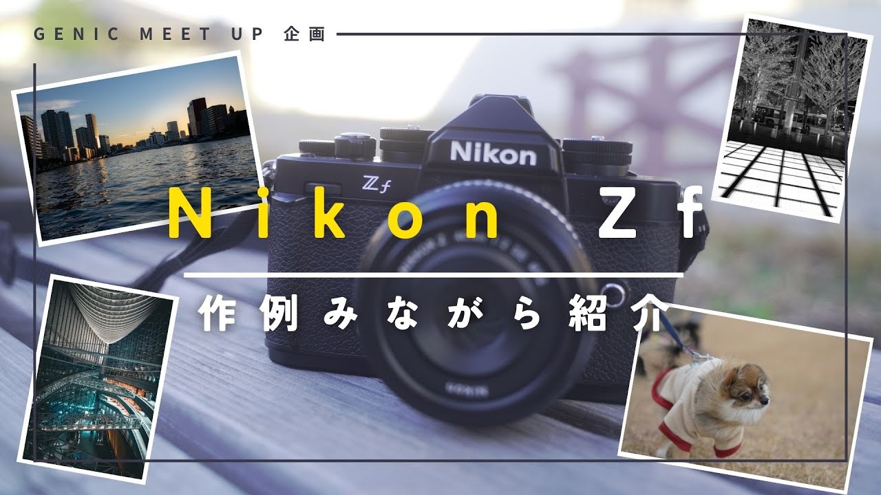 【作例を紹介】NikonZfで撮った写真がいい　〜こんな人におすすめしたいカメラ〜