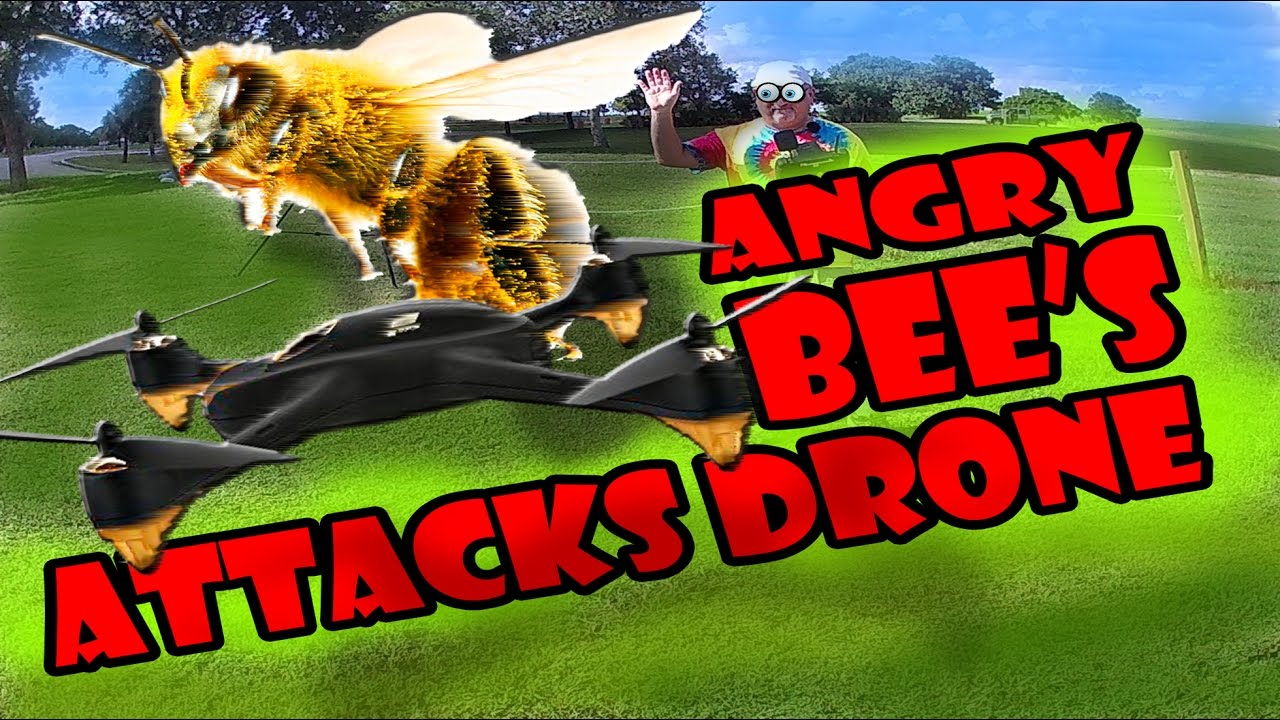 Angry Bees Attacking Drone