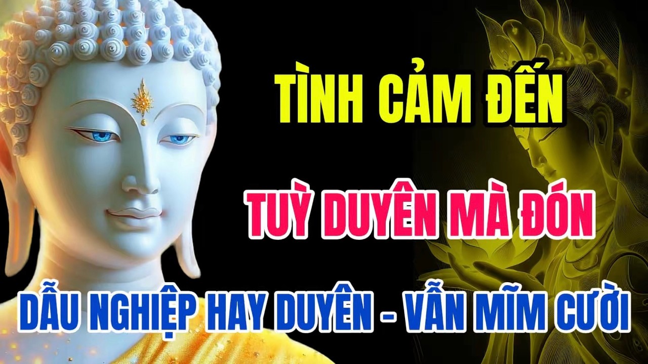 Tình Cảm Đến – Tuỳ Duyên Mà Đón – Hiểu Nghiệp Duyên Để Không Khổ Đau