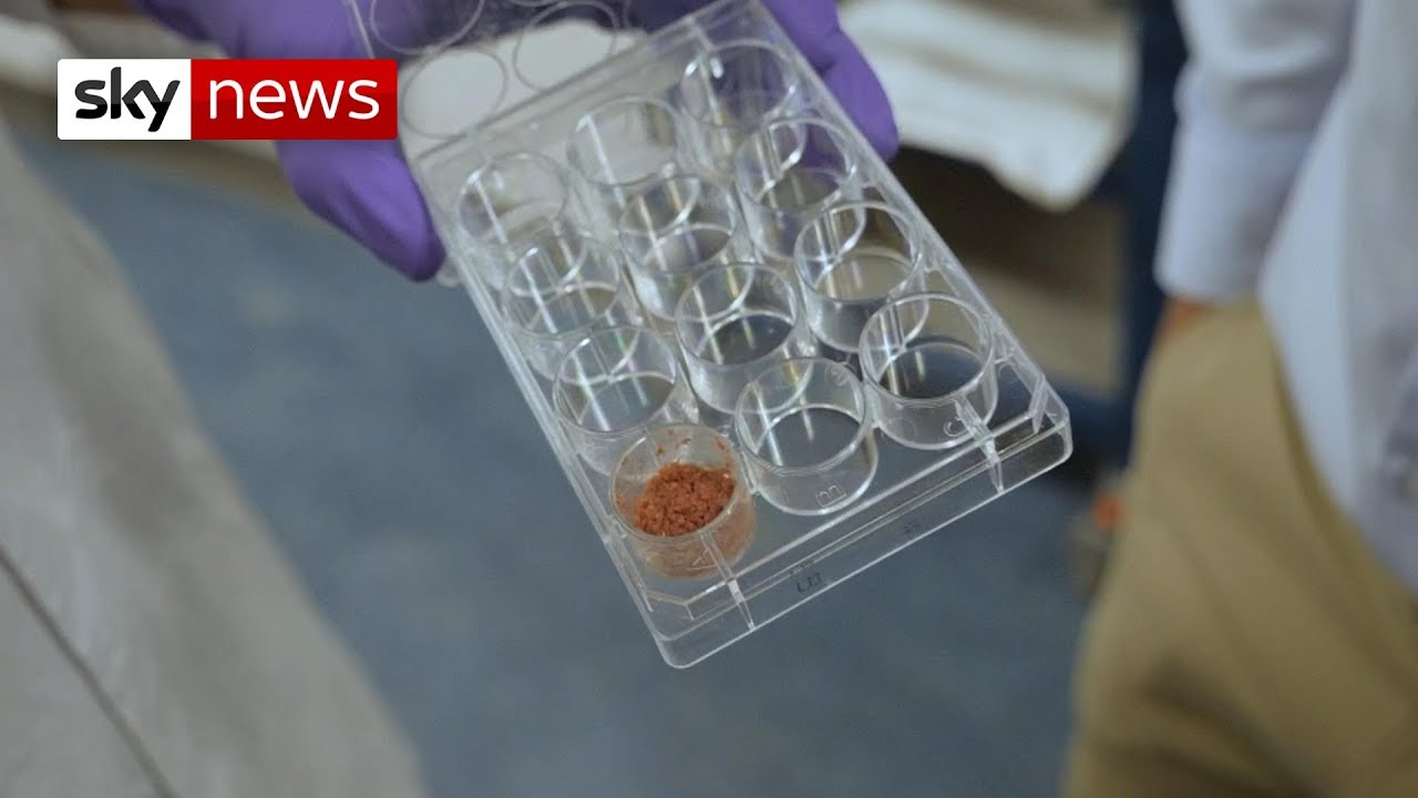 The first lab-grown burger that could save the planet
