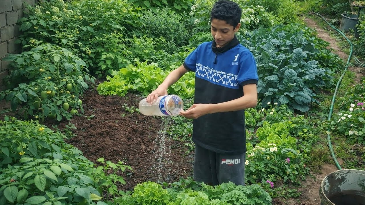 زرعت الارض. وشوف شنو  زرعت