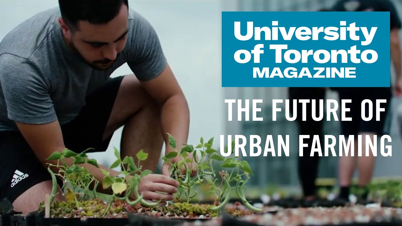 The Future of Urban Farming