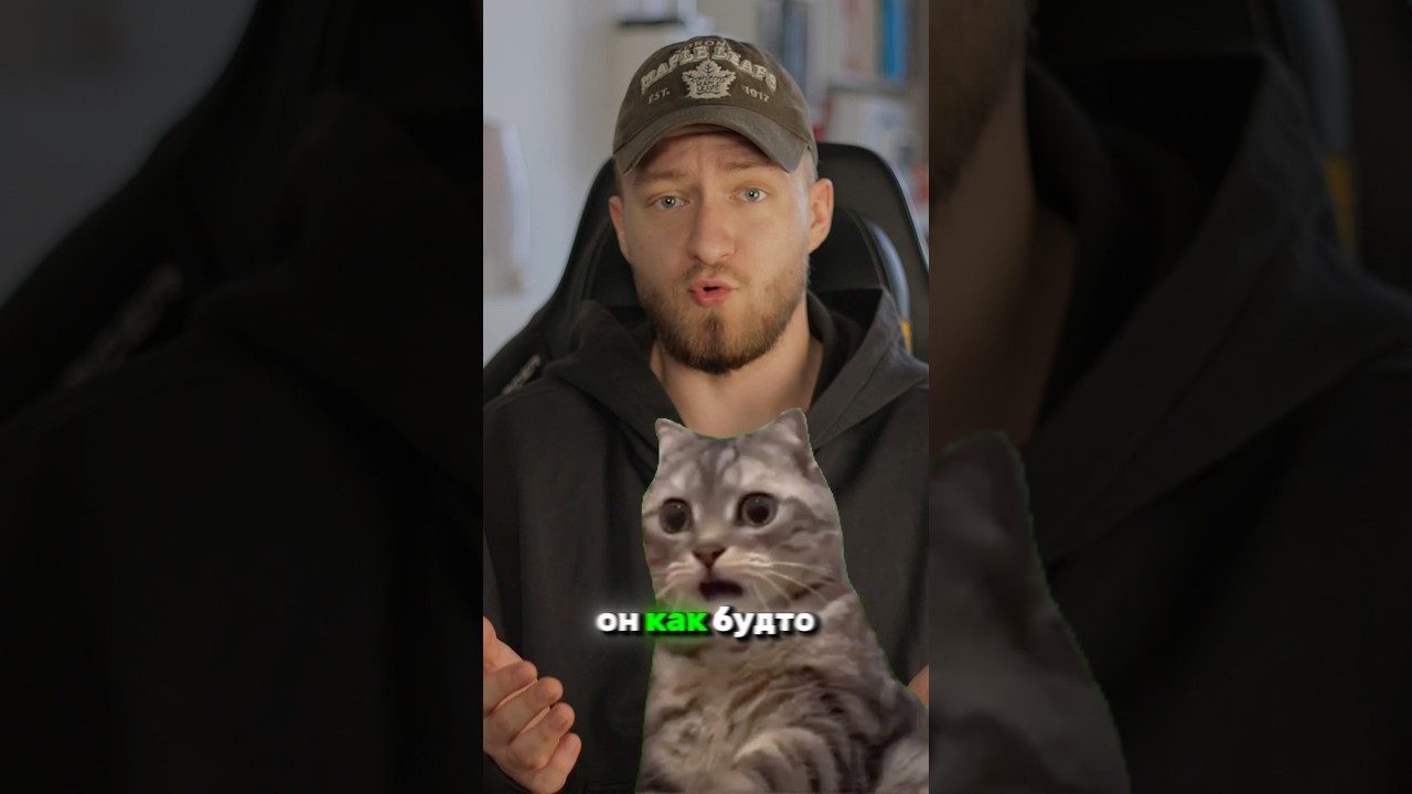 Что котик хочет тебе сказать