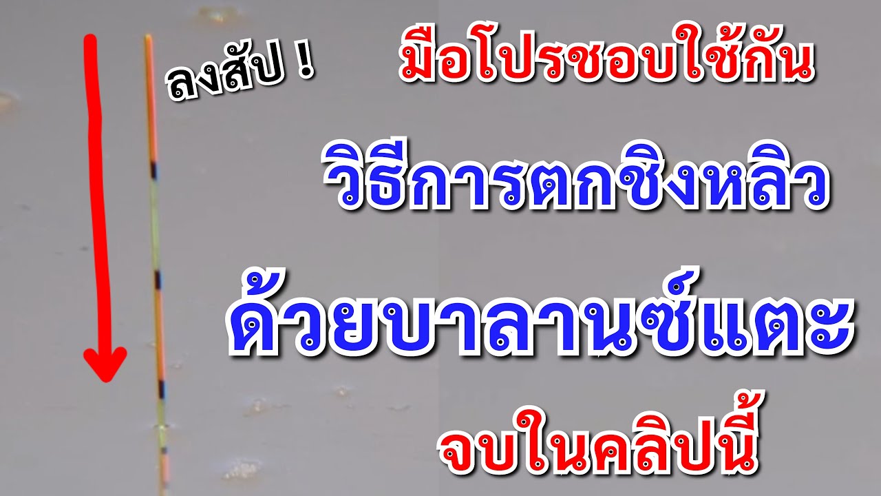 วิธีการตกชิงหลิวด้วยการตั้งตกแบบบาลานซ์แตะ มือโปรชอบใช้ตกกัน👍👍👍