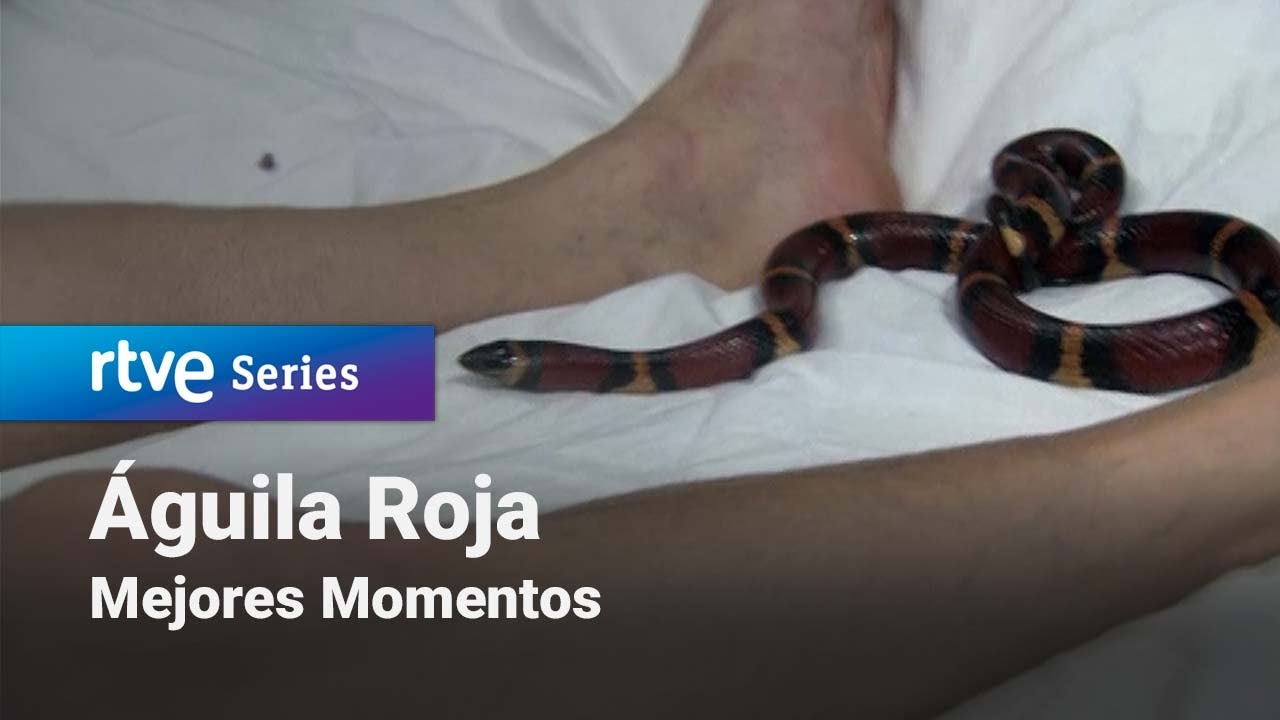 Águila Roja: Capítulo 79 - Mejores Momentos | RTVE Series