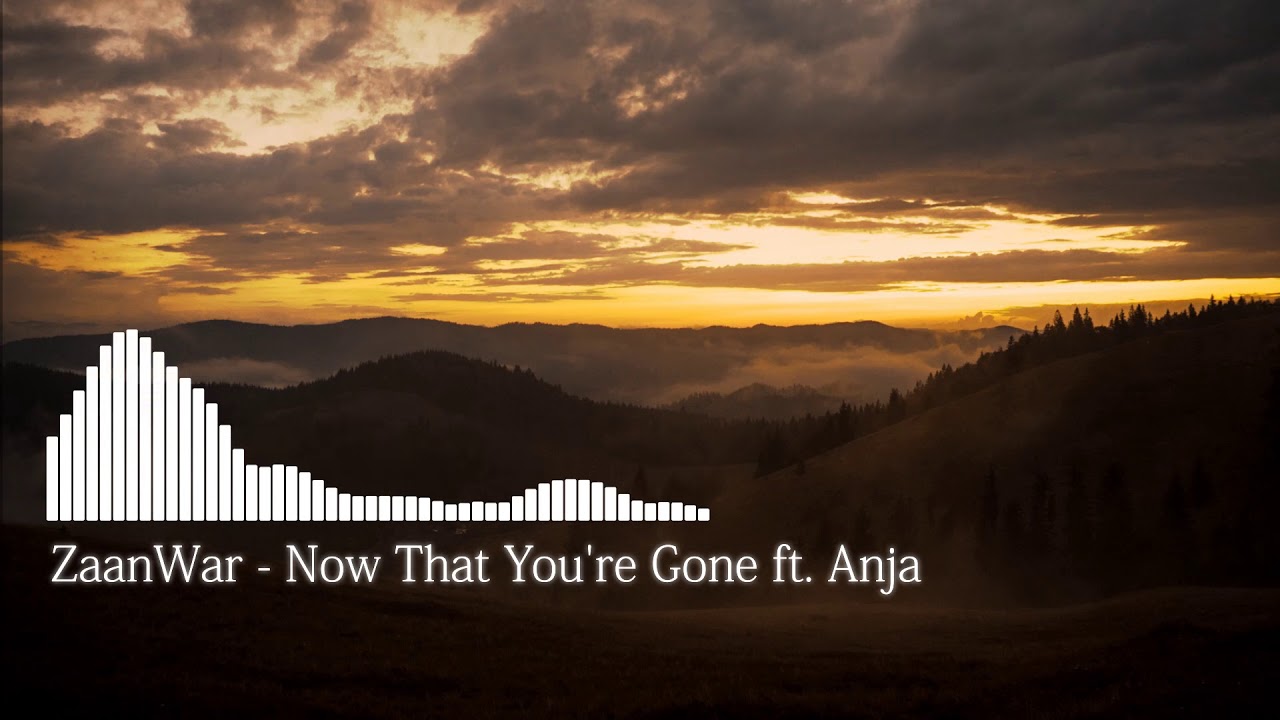 ZaanWar - Now That You're Gone (ft. Anja)
