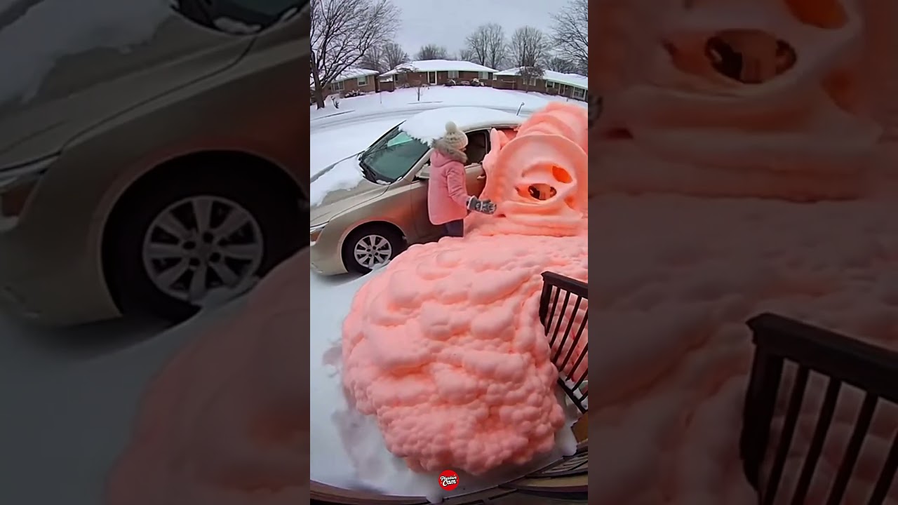 Instant Karma Hits Porch Pirate HARD 😆 Best Revenge Ever #karma