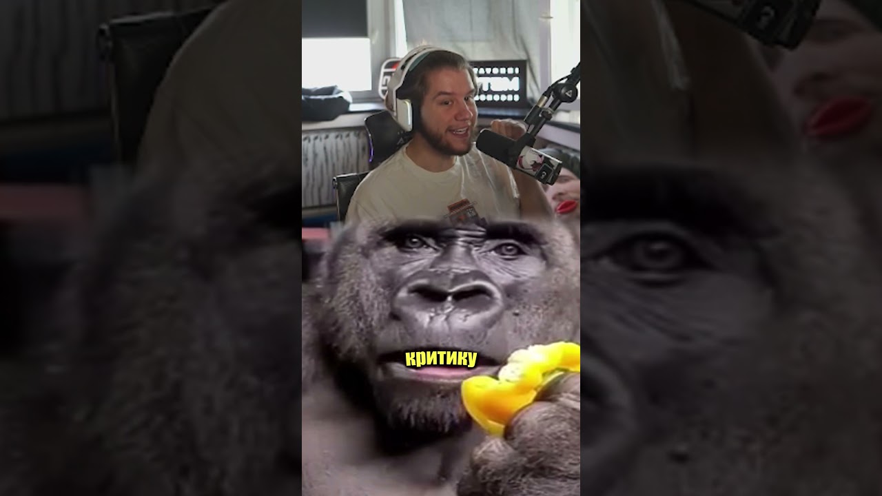 МОРДОР В ВЕЛИКОБРИТАНИИ  #lagoda1337 #твич #нарезки