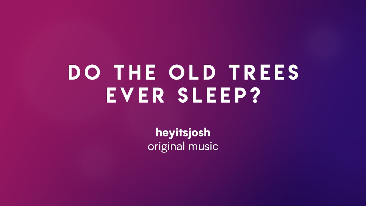 Do The Old Trees Ever Sleep? &mdash; Heyitsjosh Original Music