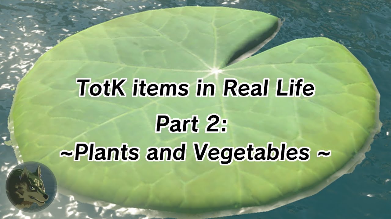 TotK items in Real Life - Part 2: Plants and Vegetables
