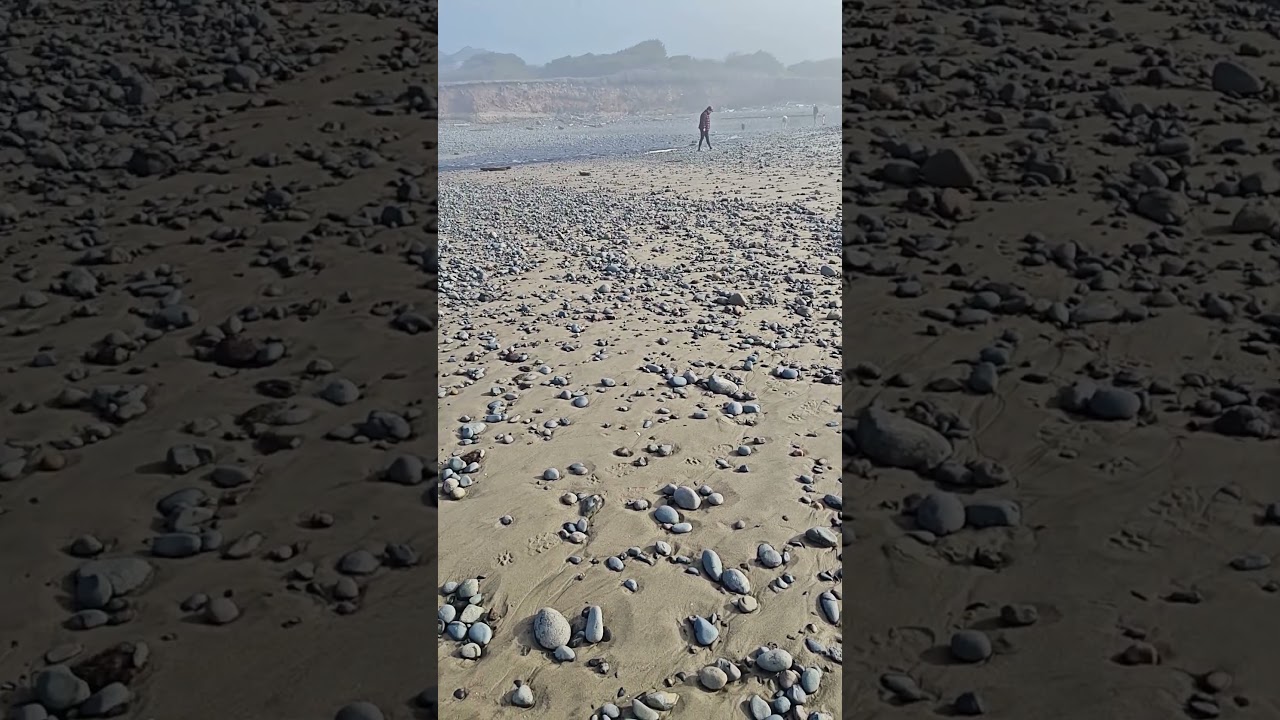 Rock hounding is not the best right now on the Oregon coast. #jawsjr #rockhound #oregoncoast