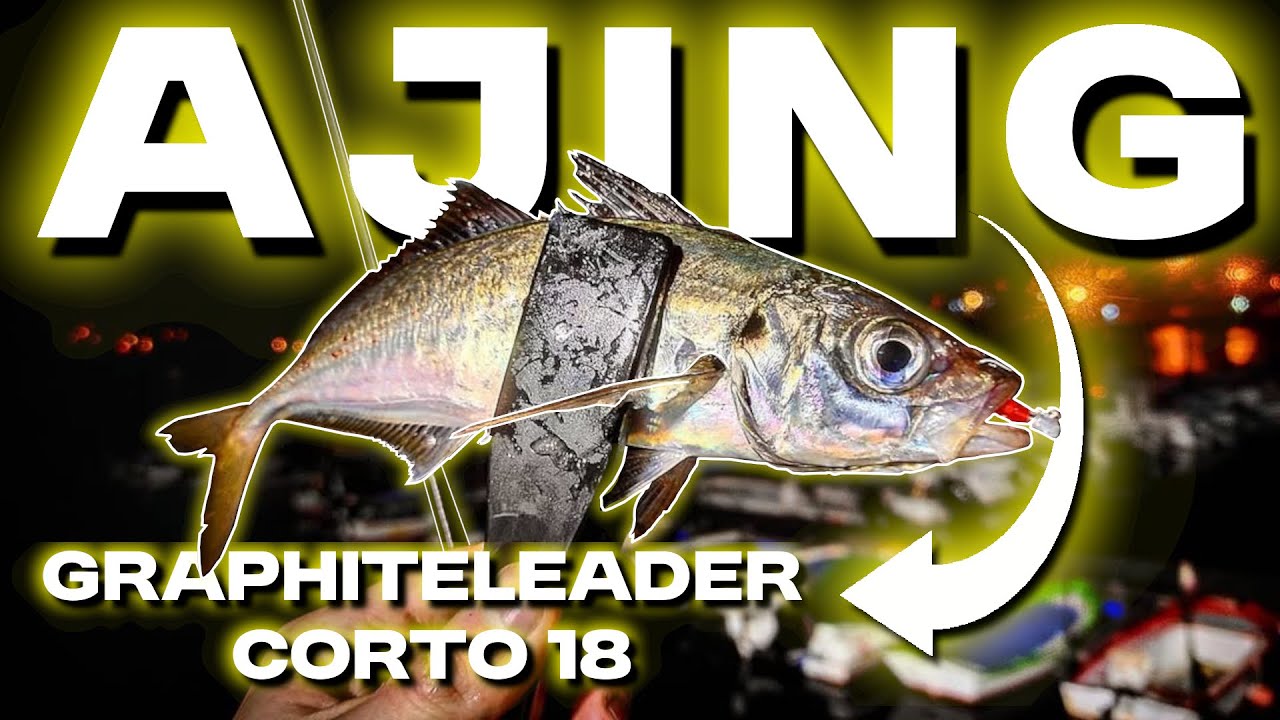 NECESITO una SACADERA YA !!  GRAPHITELEADER CORTO 18 en ACCIÓN 💪🏼 || LUBINAS al AJ-R de BAITBREATH