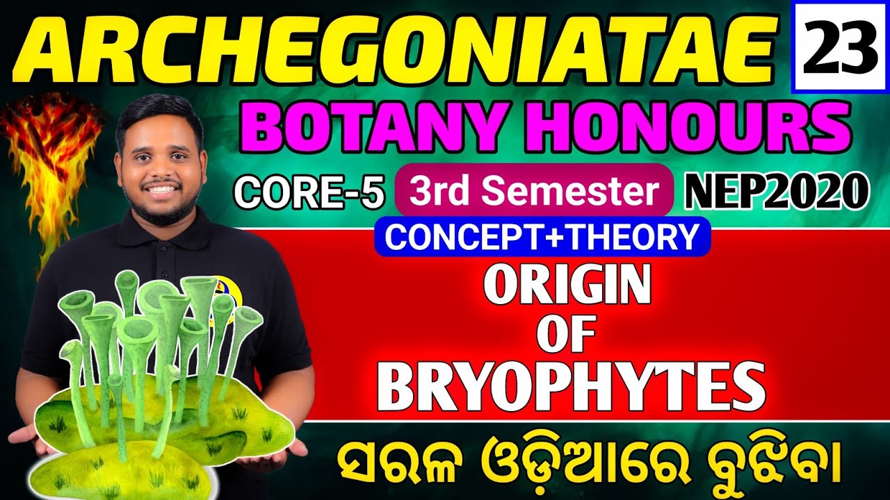 Origin of bryophyte|bsc 3rd semester botany honours|botany hons|core5|botany honours|botany honours