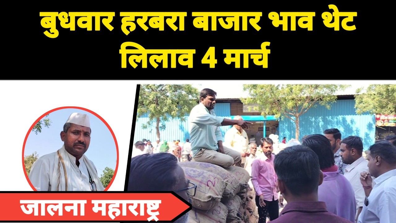 बुधवार हरबरा बाजार भाव थेट लिलाव 4 मार्च जालना महाराष्ट्र || नवीन हरभरा काय विकतो