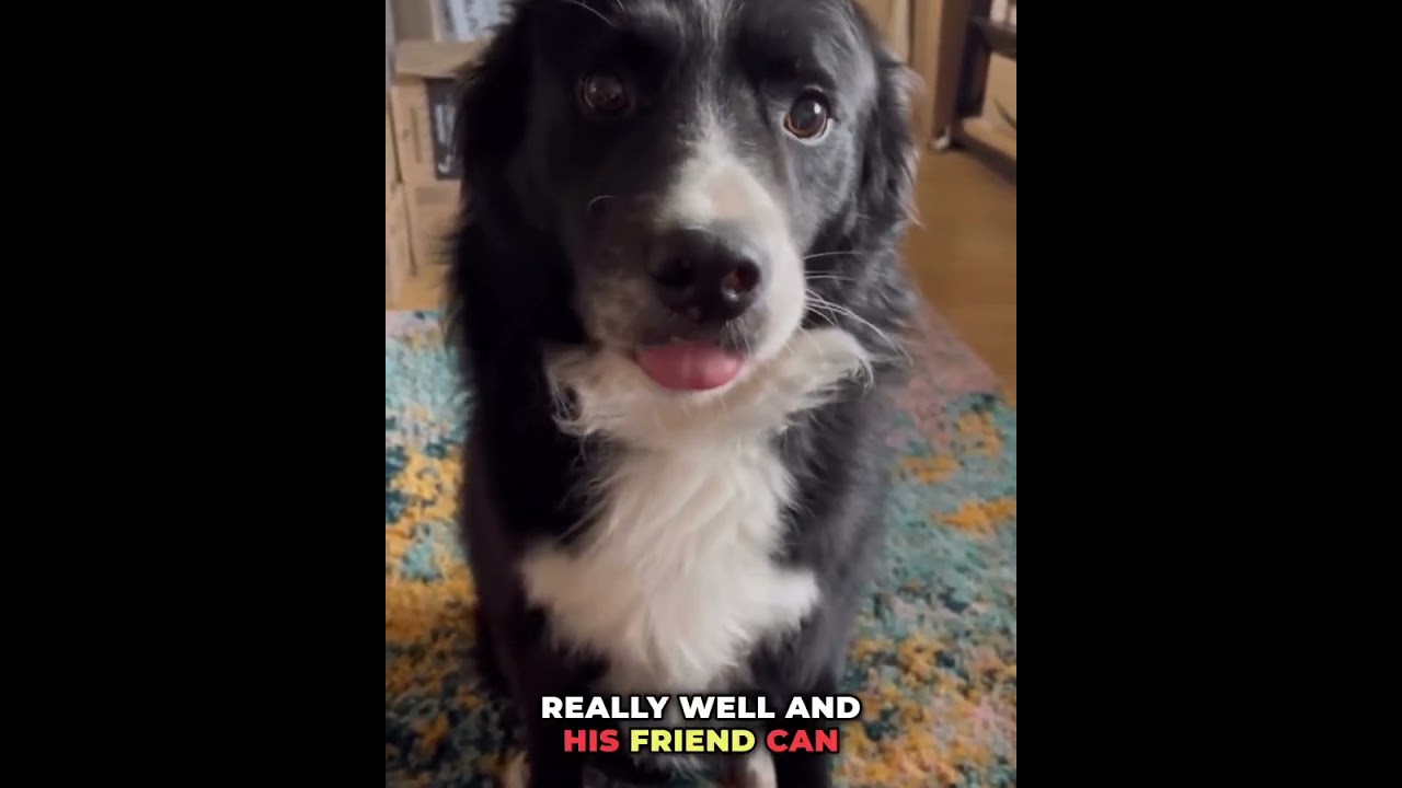 Выпученные глаза