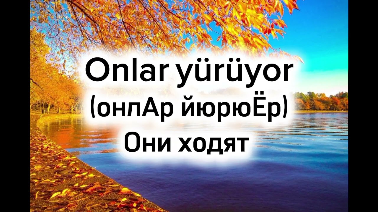 Разбор глагола 