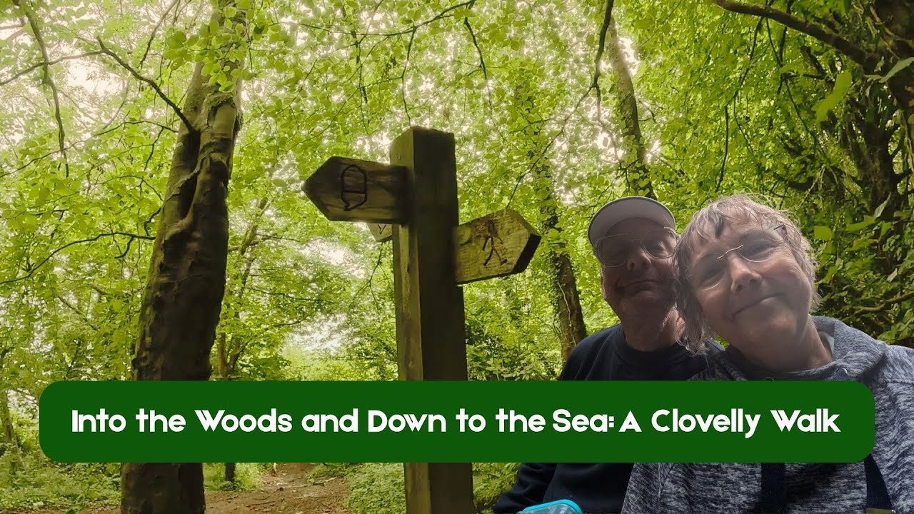Into the Woods and Down to the Sea: A Clovelly Walk