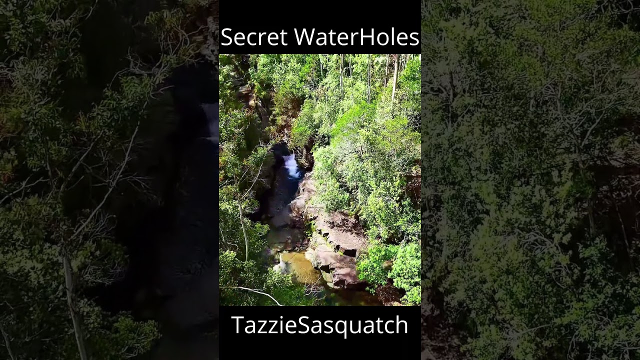 Finding Hidden Waterholes with a Drone
