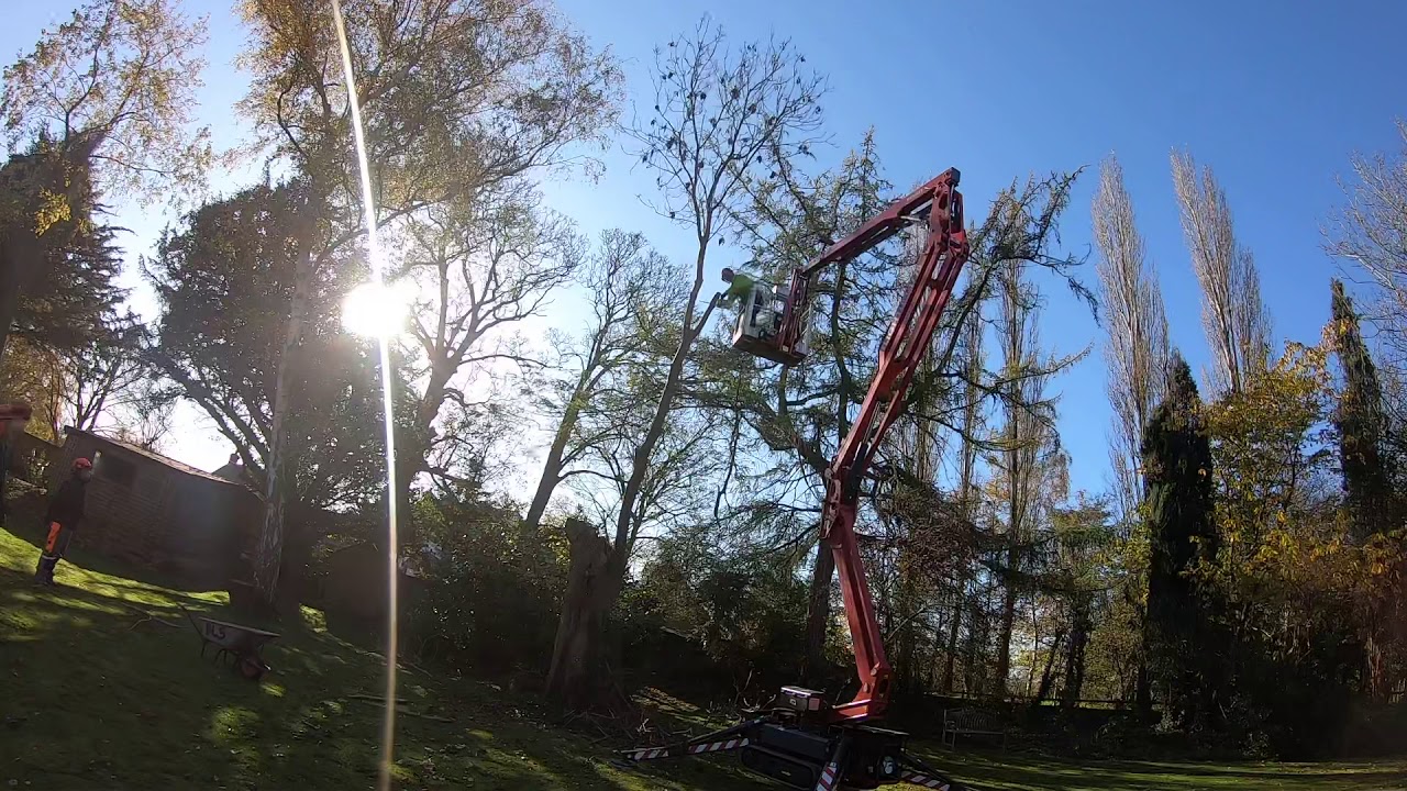 Browns Landscape Solutions - Hinowa 17.75 Lightlift MEWP Dismantling Ash Tree