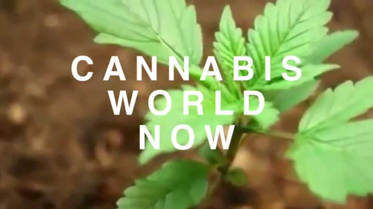 Uncle Stoner Promo 02 24 15 v1