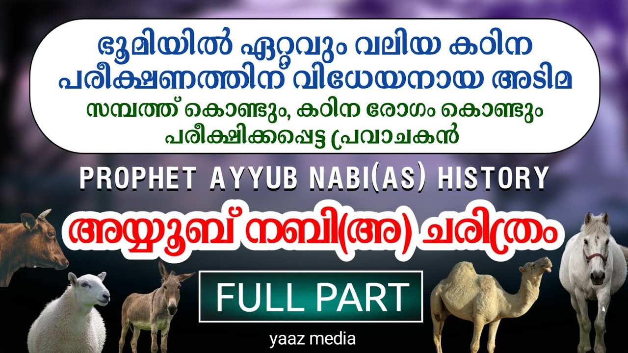 അയ്യൂബ് നബി(അ) ചരിത്രം | FULL PART | Prophet Ayyub Nabi (as) History Malayalam | YAAZ MEDIA