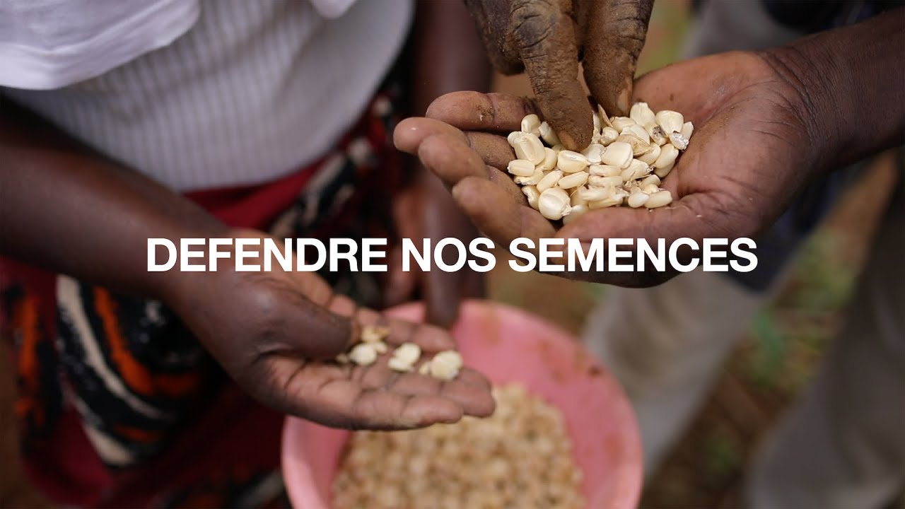 DEFENDRE NOS SEMENCES