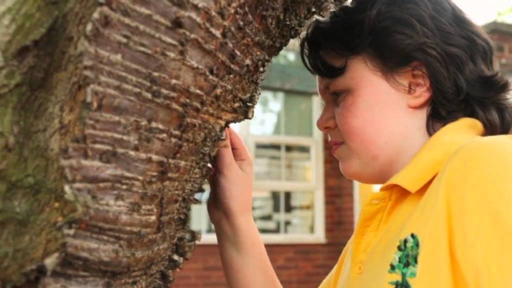 Pelsall Village School