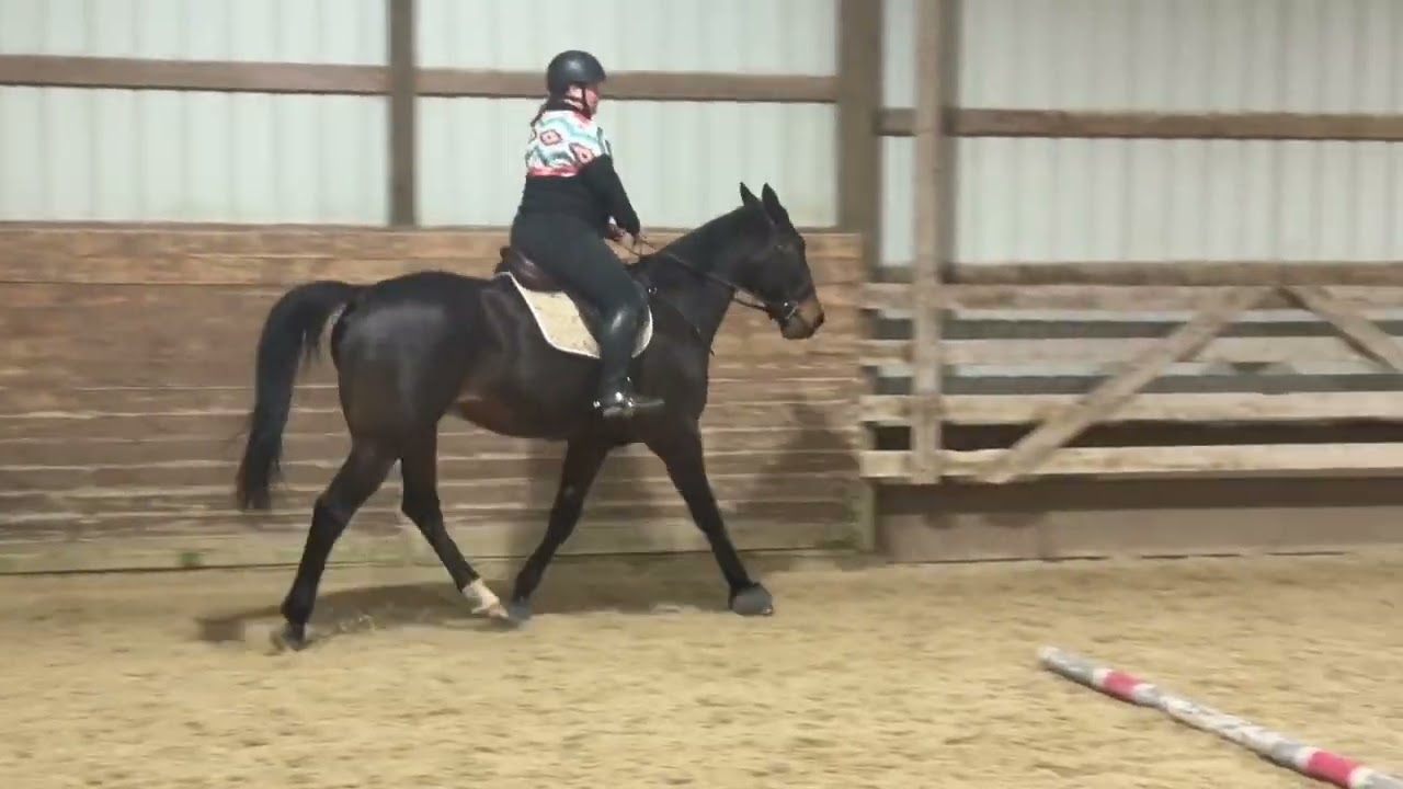 Ardeen Equine Affaire Clinic Video 2026
