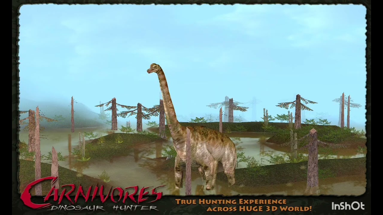 Imagenes randoom de carnivores 