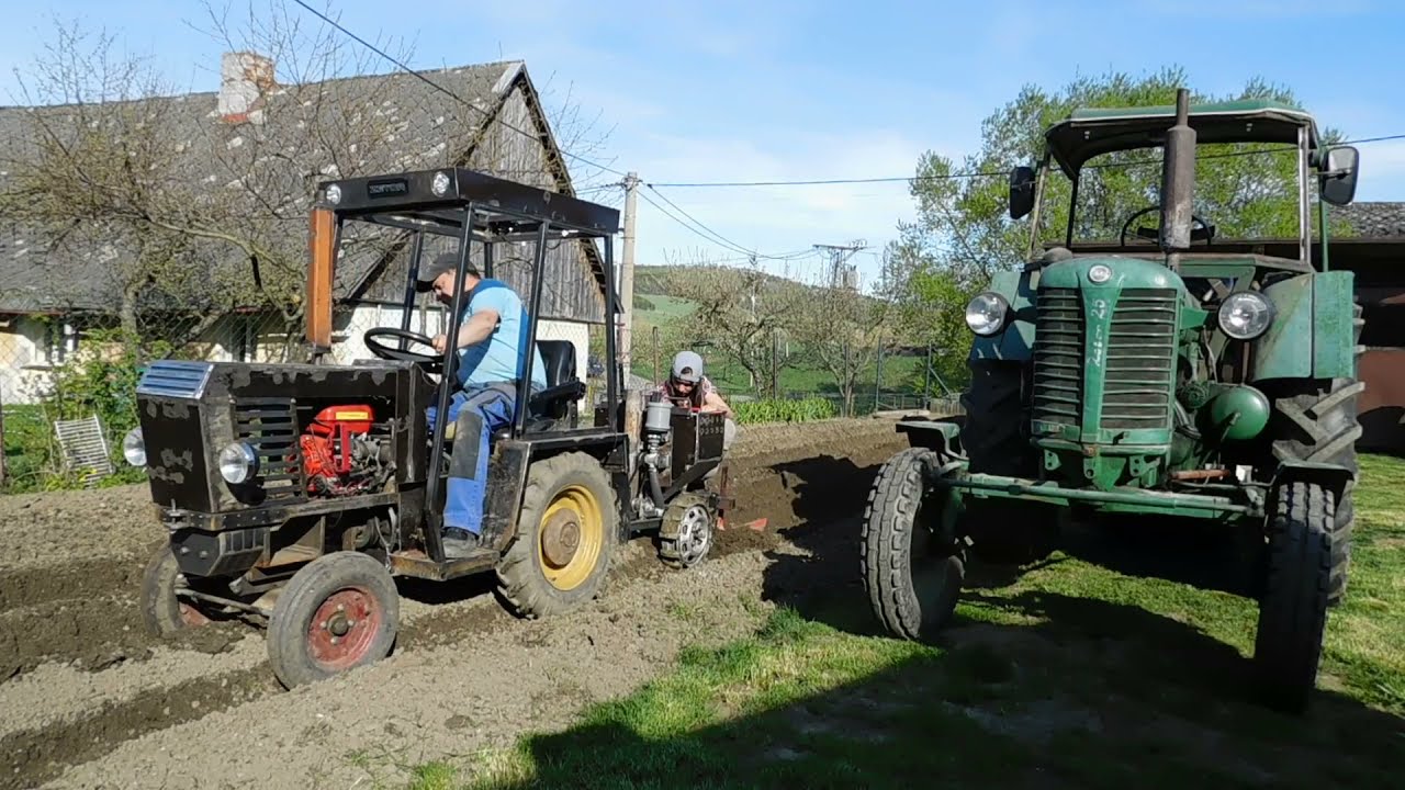 Zetor 25 K a sadba brambor malotraktorem Čert 2021