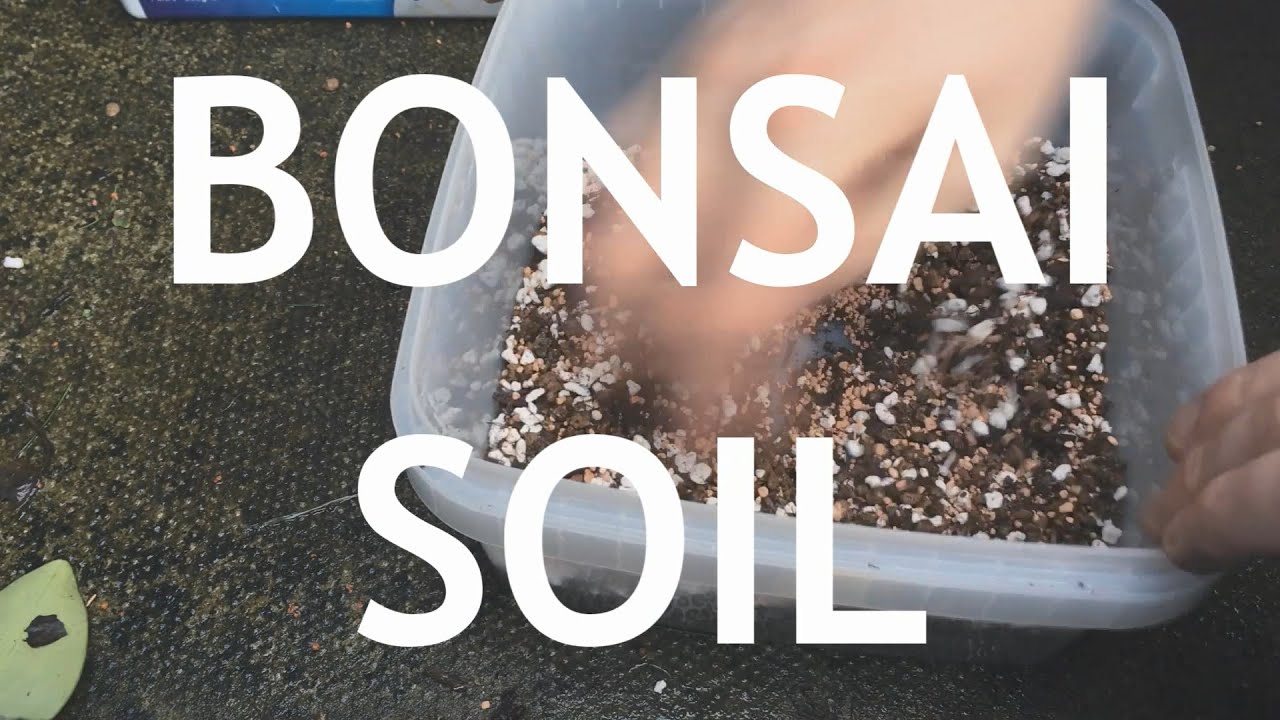 How I Make Bonsai Soil
