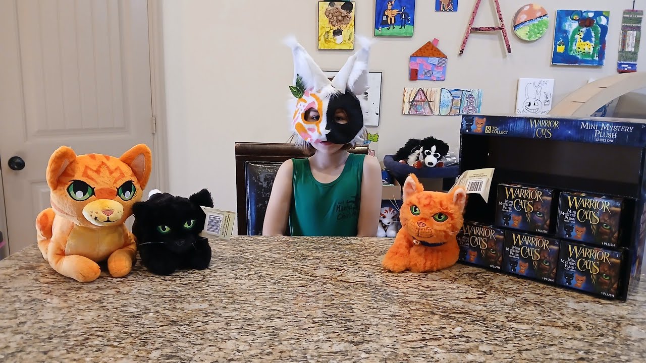 Warrior Cats Blind Boxes
