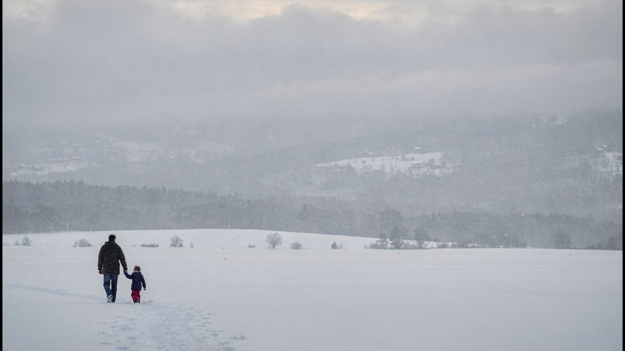 Holding Her Hand | Gentle Stillness - Piano & Peaceful