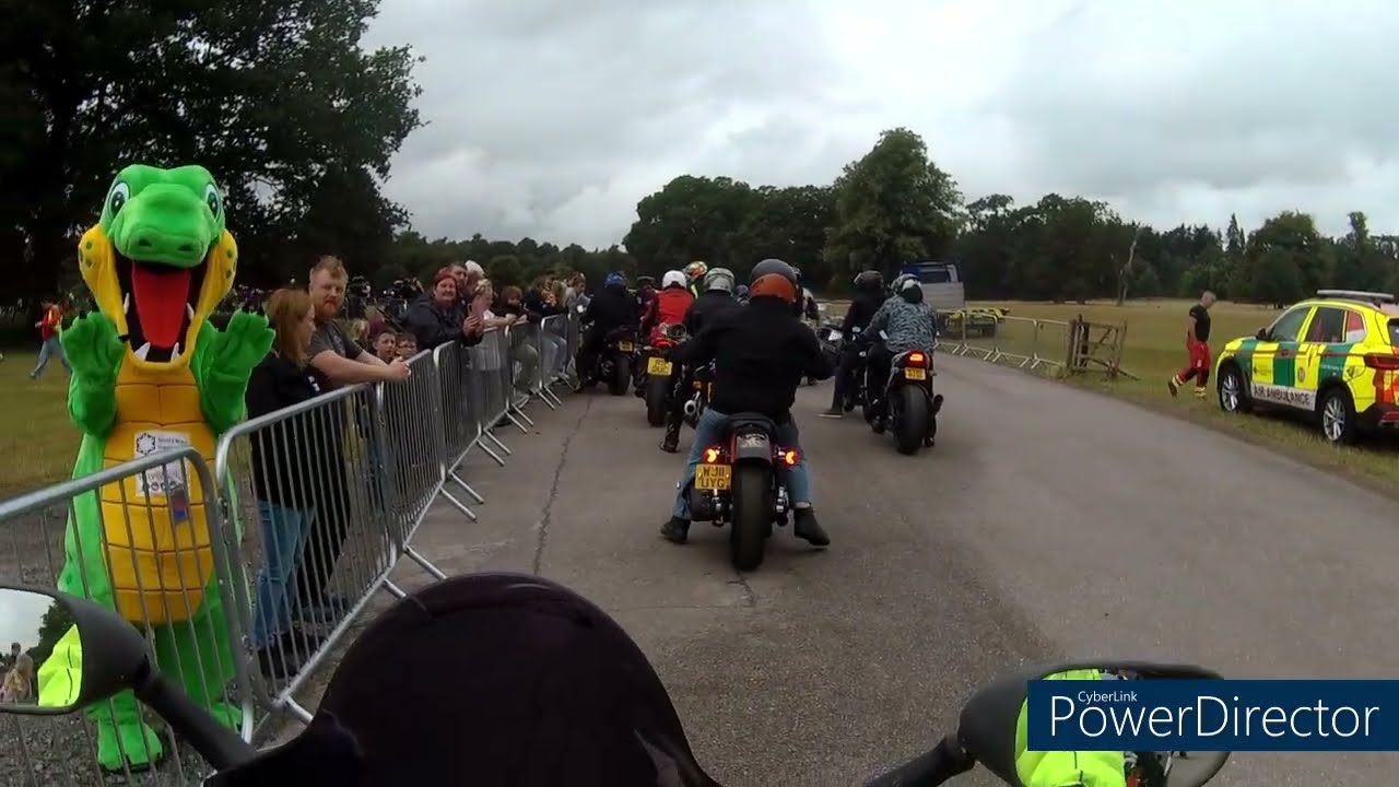 Look Back at an Amazing Year of 2025