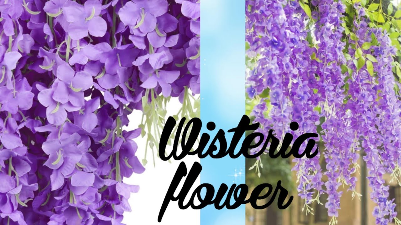 DIY / Wisteria flower /How to make Wisteria flowers from crepe paper/easy craft idea/Home decor