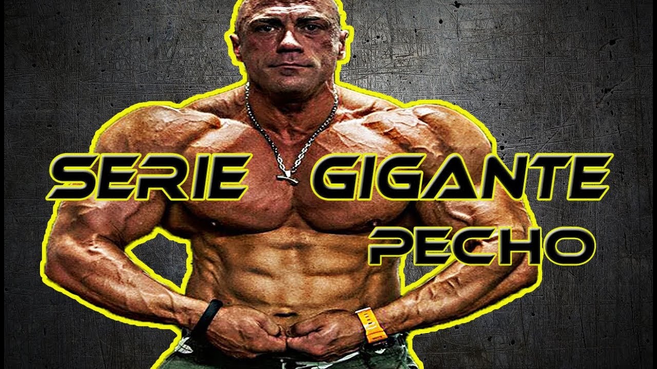 Serie gigante de pecho