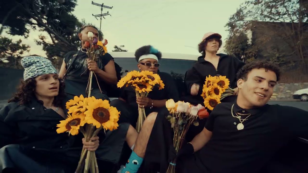 LOS MENOR3S + Oliwi + Afro N*gga - BURDA DE FLORES (VISUALIZER)