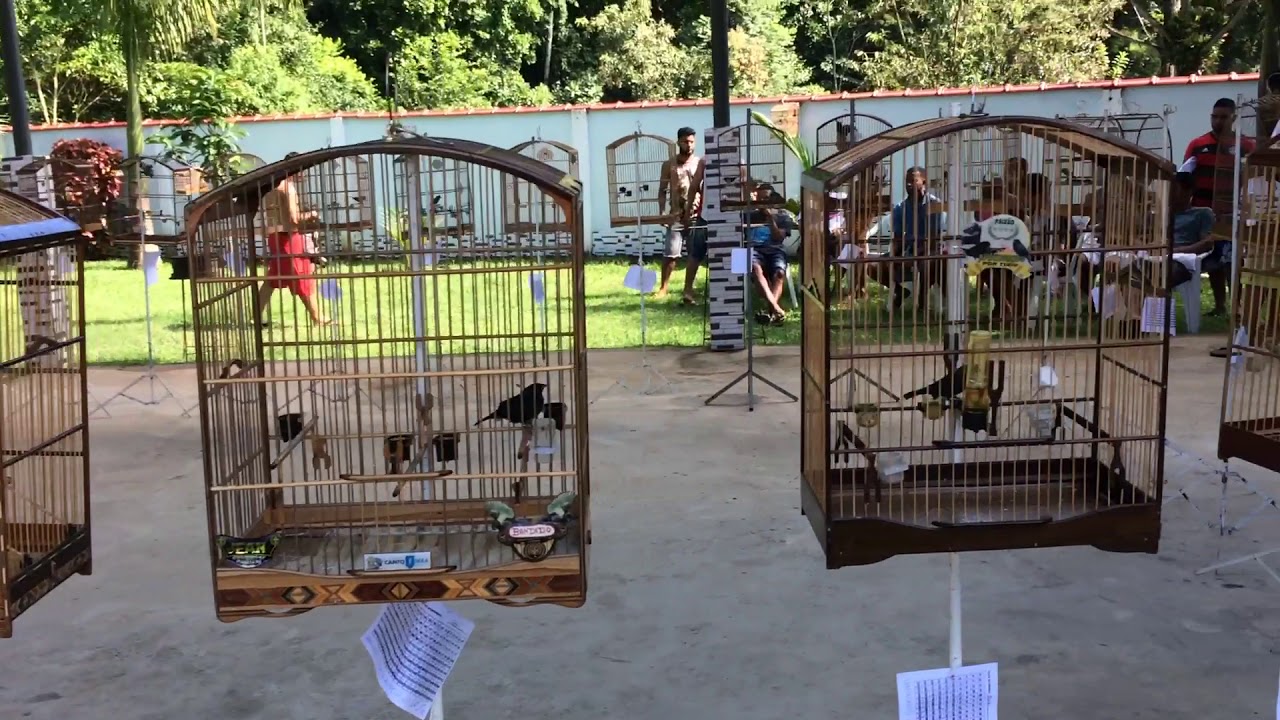 Torneio de Tiziu - 1• etapa do Campeonato da Baixada - 11/03/2018