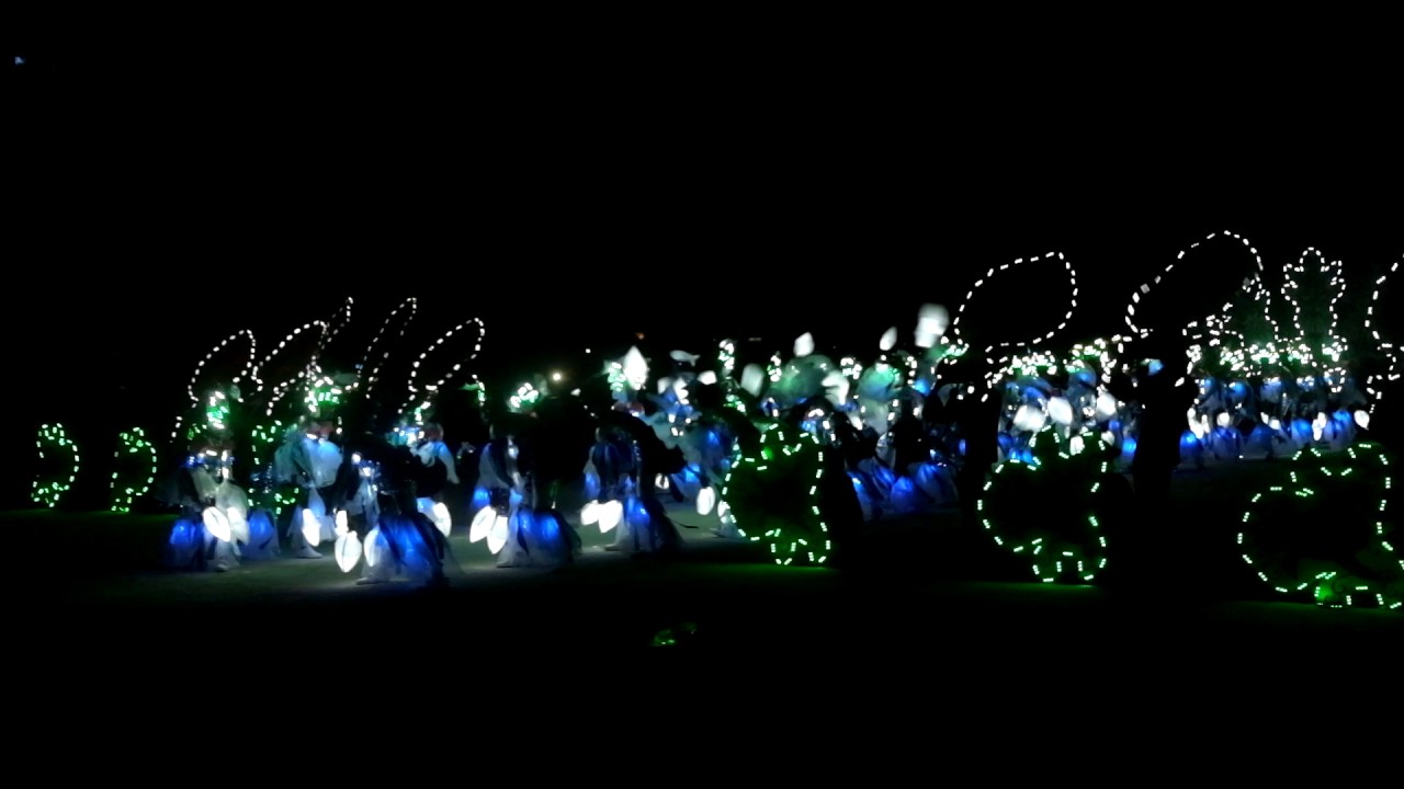 Sillag 2017  Champion : La Union National High School