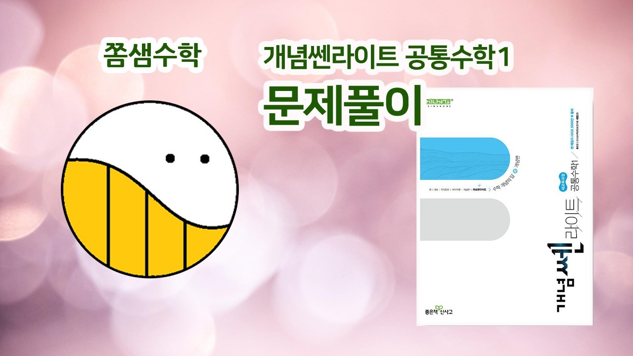 [개념쎈라이트 공통수학1] 229쪽 20번