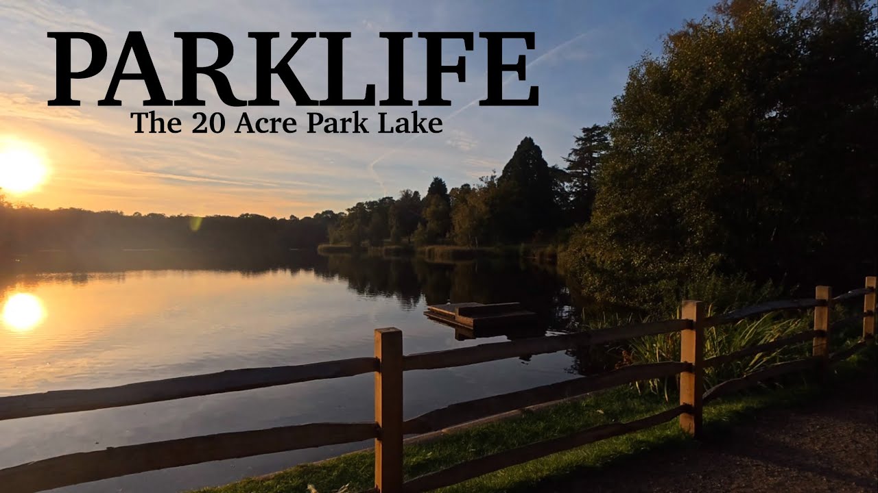 40. Ловля карпа на 230-летнем небольшом озере | Осенняя ловля карпа