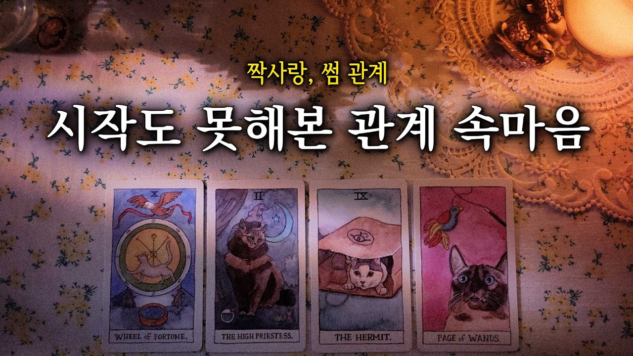 [타로] 시작도 못해본 관계 속마음 (짝사랑, 썸 관계) | 진전 없는 관계 속 그 사람의 진짜 속마음