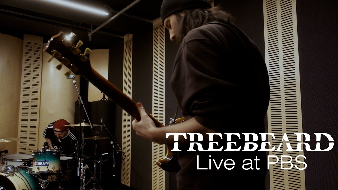 Treebeard - LIVE in Studio 5 (PBS)