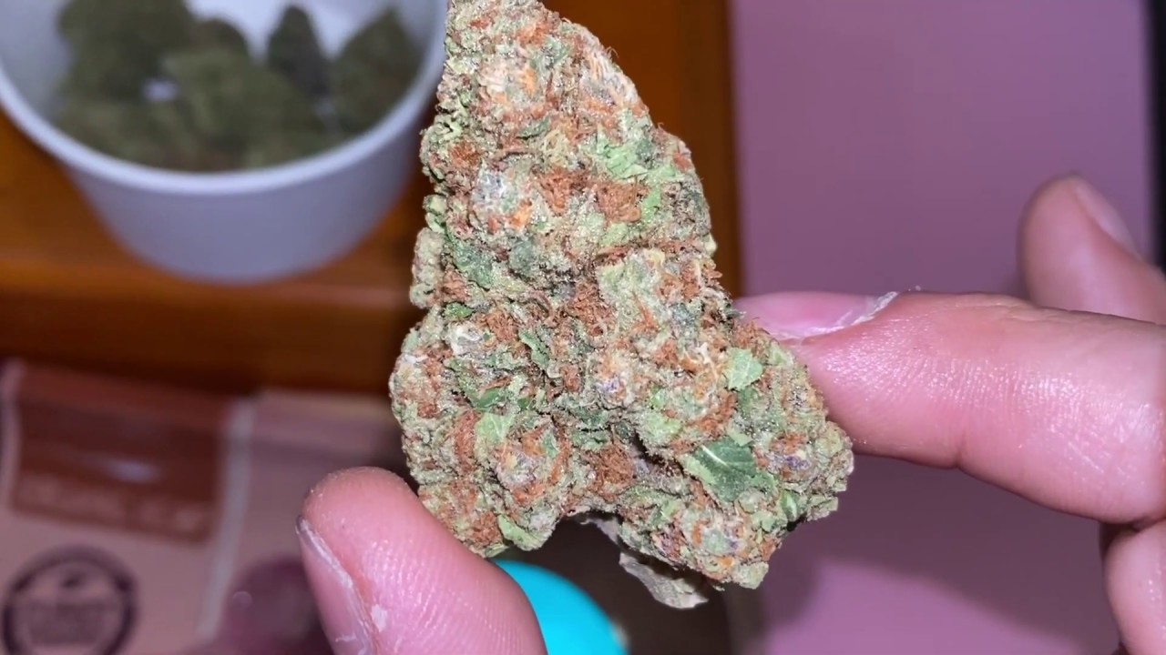 Review y an&aacute;lisis de cepa CANNABIS SATIVA CHOCOLOPE!