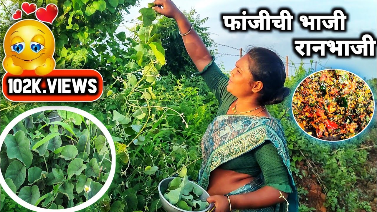 जगातील सर्वात चविष्ट रानभाजी म्हणजे फांजीची भाजी |फांदिची भाजी | Ranbhaji | Fanjichi Bhaji