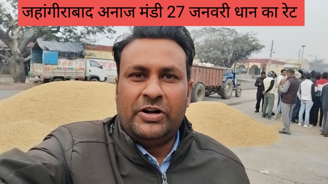 जहांगीराबाद अनाज मंडी, 27 जनवरी, दिन मंगलवार धान का रेट // vikash vlogs tiger// village style vlogs 