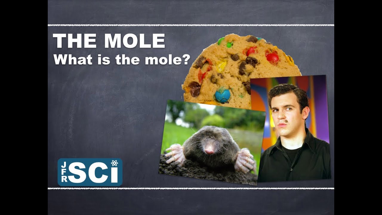 The Mole and Molar Mass: What is the Mole?