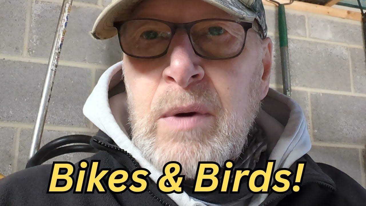 Велосипеды и птицы!