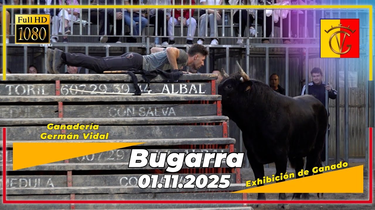 Bugarra 01/11/2025 🐂 | Exhibici&oacute;n Germ&aacute;n Vidal&rdquo; Comisi&oacute;n Taurina